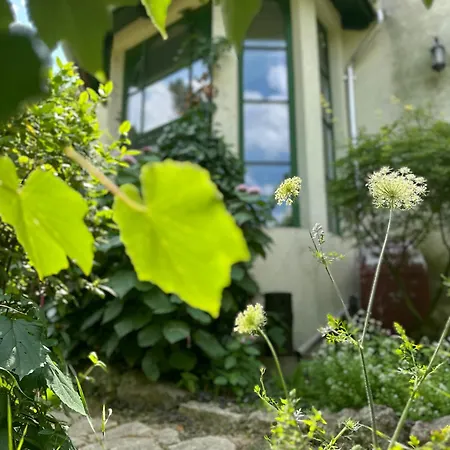 Holiday home Idevarlak In The Woods Budapest